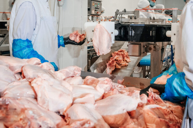 Conveyor Belt Food.modern Poultry Processing Plant.meat Processi BIOIONIX® Raw/RTE Meat Applications