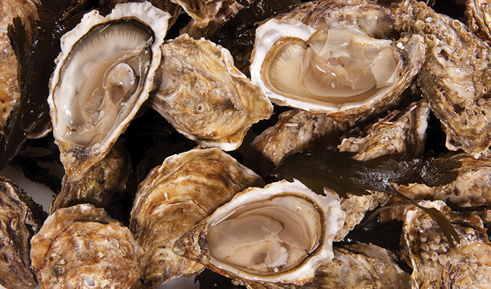 Crustacean Seafood Applications